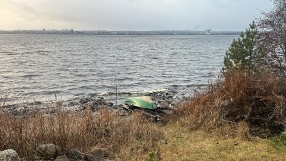 В Петрозаводске проводится процессуальная проверка по факту обнаружения тела ранее пропавшей женщины